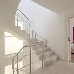 فيلة ادا